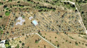 Grundstück mit Blackstad-Projekt und Baugenehmigung