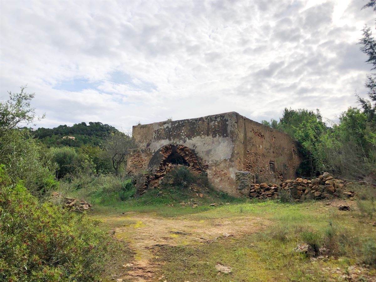 Ruine und großes Land von 72.000m2 in San Agustin zu verkaufen