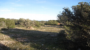 Grundstück mit genehmigtem Basisprojekt für ein Einfamilienhaus mit Swimmingpool in Cap de Barbaria Formentera