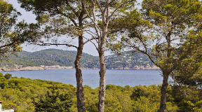 Grundstück mit Lizenz und fabelhaftem Meer- und Landschaftsblick auf einem Hügel in Sant Carles