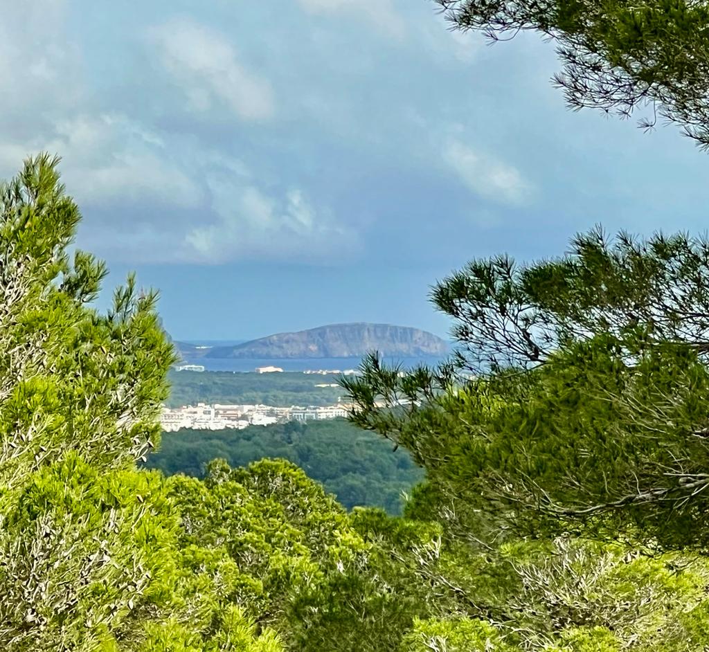 Moderne Villa mit Blick ins Grüne in idyllischer Umgebung mit absoluter Privatsphäre in der Nähe von Ibiza